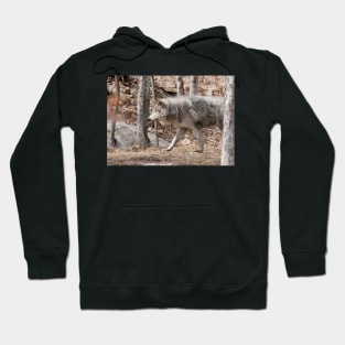 Gray Wolf Hoodie